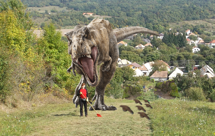 hrozivé zábery pred zmiznutím osoby